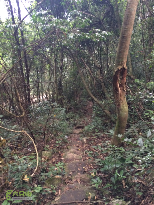 福清市一都镇后溪村－过溪－永泰县斗湖天池－后溪村圈越2015-11-08 16:07:08