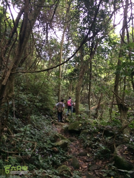 福清市一都镇后溪村－过溪－永泰县斗湖天池－后溪村圈越2015-11-08 16:13:36