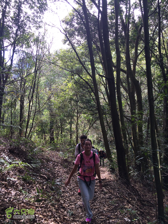 福清市一都镇后溪村－过溪－永泰县斗湖天池－后溪村圈越2015-11-08 11:53:02