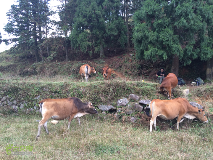 福清市一都镇后溪村－过溪－永泰县斗湖天池－后溪村圈越2015-11-08 13:53:00