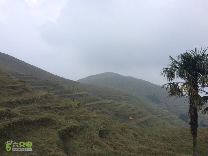 福清市一都镇后溪村－过溪－永泰县斗湖天池－后溪村圈越2015-11-08 15:10:41