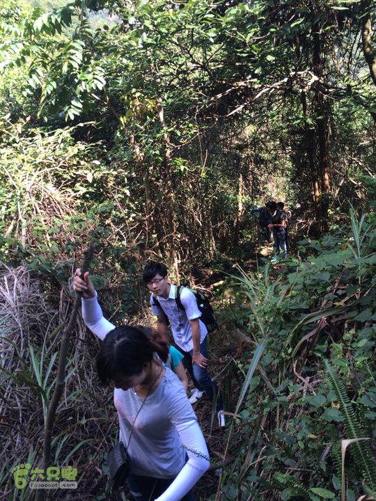 福清市一都镇后溪村－过溪－永泰县斗湖天池－后溪村圈越2015-11-08 11:25:23