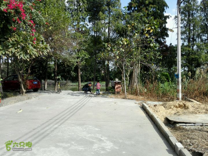 麻涌探路3绕道进来依旧无路