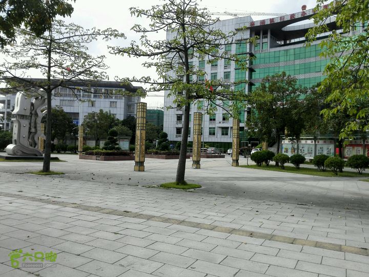 麻涌探路32015-11-08 14:16:21