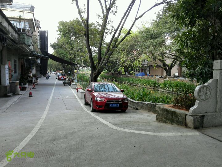 麻涌探路3岔路1