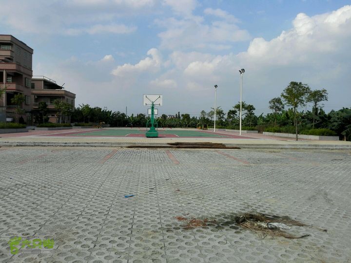 麻涌探路3岔路2～