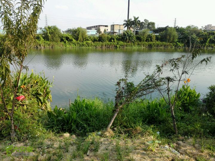 麻涌探路3侧面河道