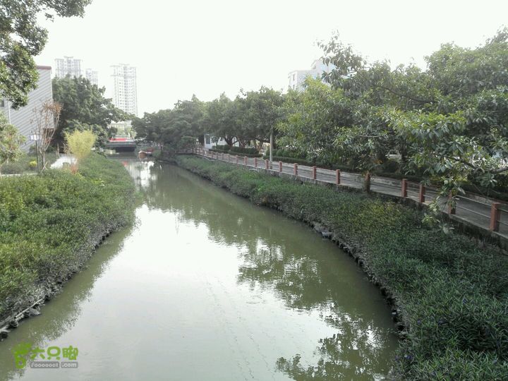 麻涌探路3照片对面高楼为信鸿