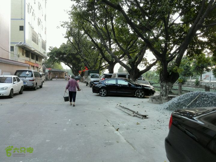 麻涌探路3右边是河道