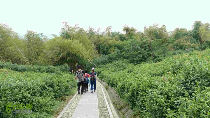 保国寺到荪湖2015-09-05 11:42:43