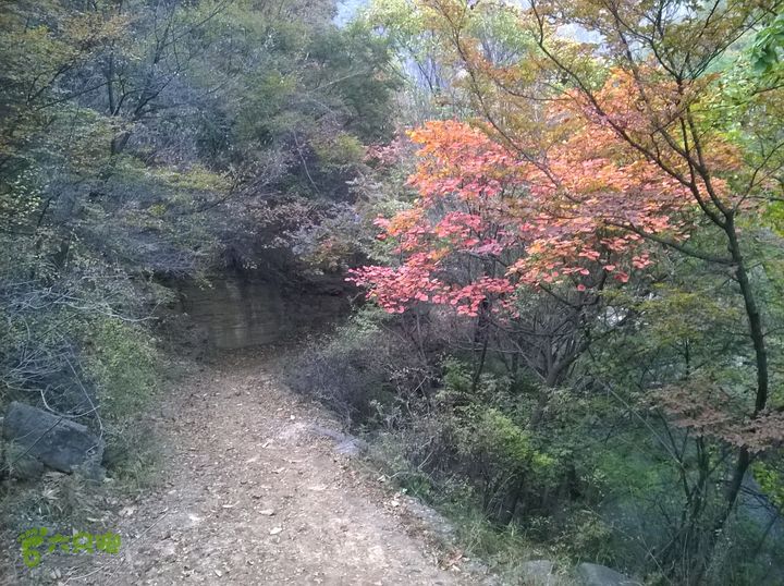 南太行之第一天:双低-红豆杉峡谷-马武寨-抱犊寨WP_20151029_152