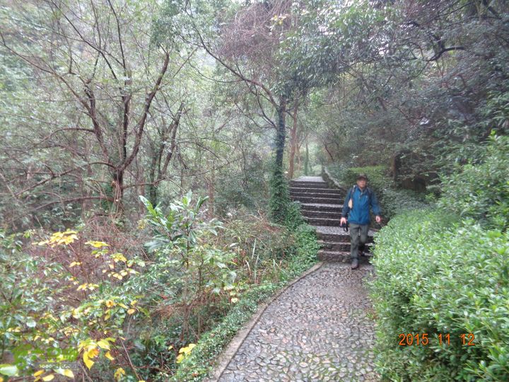 南岙-阳堂寺-观顶村-五龙潭DSC02758