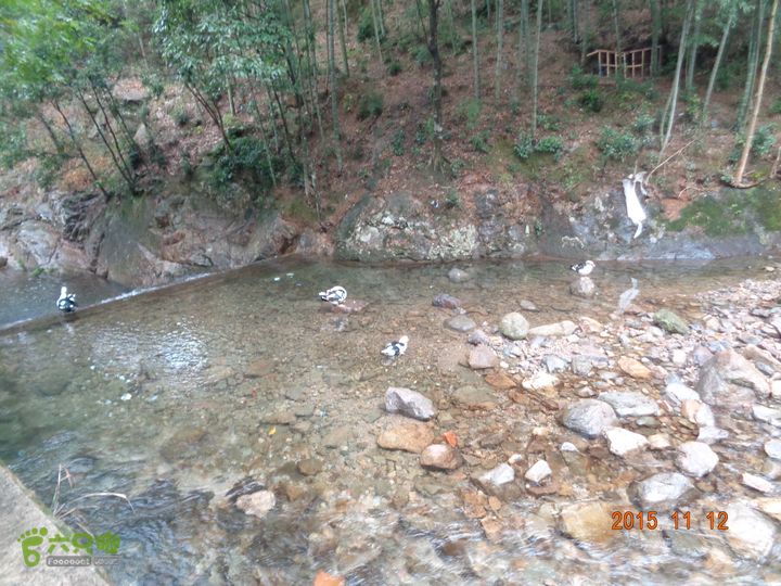 南岙-阳堂寺-观顶村-五龙潭DSC02770