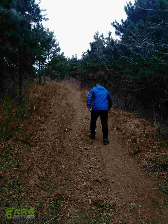 11月15日清河环湖徒步路线图大上坡