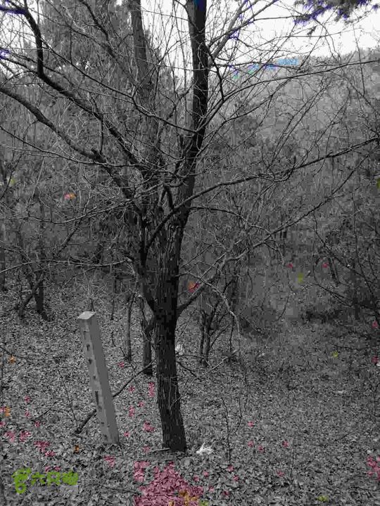 11月15日清河环湖徒步路线图冲沟