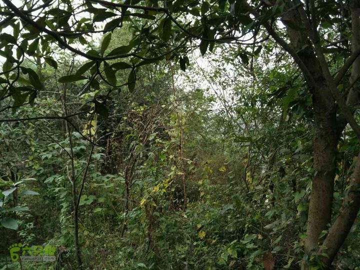 18下东新门到青华门段现代城墙截止点