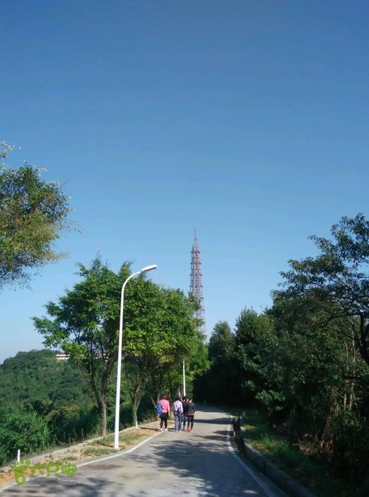 2015.11.26牛头山到广技师天河学院拉练线微波塔下