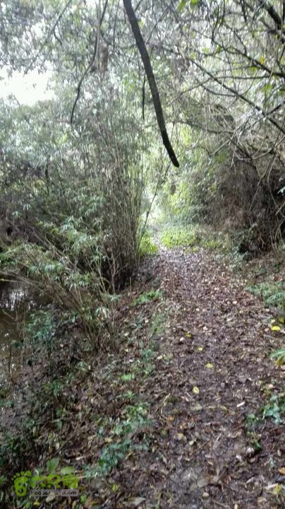 板坑水库～河思～鸦溪～付坪～曹家岭～北门水库-未命名