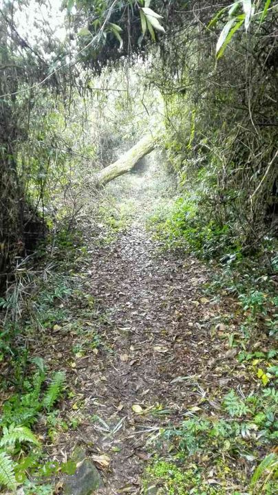 板坑水库～河思～鸦溪～付坪～曹家岭～北门水库-未命名