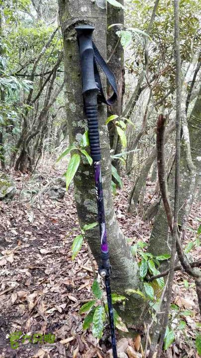 衢州豹C巨龙顶水门尖穿越未命名