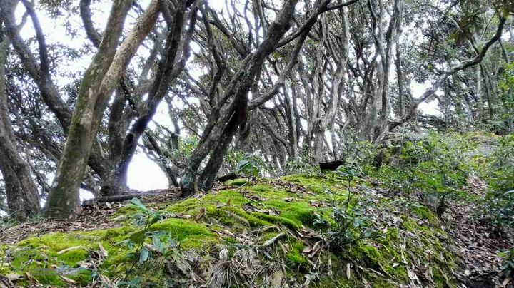 衢州豹C巨龙顶水门尖穿越未命名