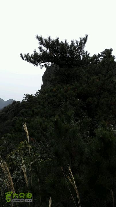 衢州豹C巨龙顶水门尖穿越未命名