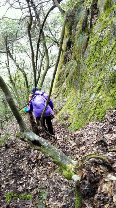 衢州豹C巨龙顶水门尖穿越未命名