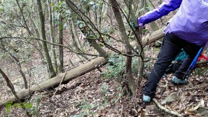 衢州豹C巨龙顶水门尖穿越未命名