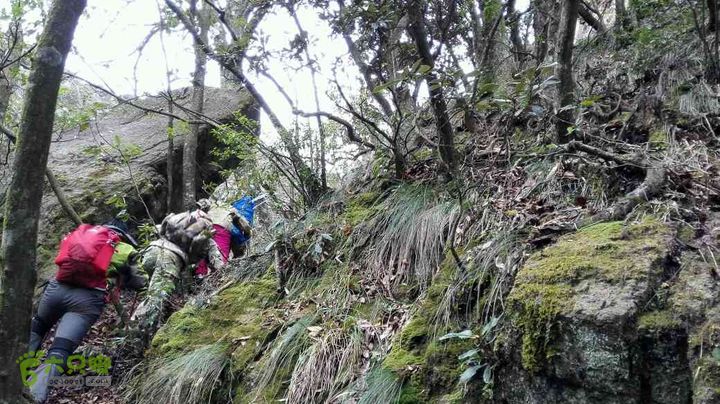 衢州豹C巨龙顶水门尖穿越未命名