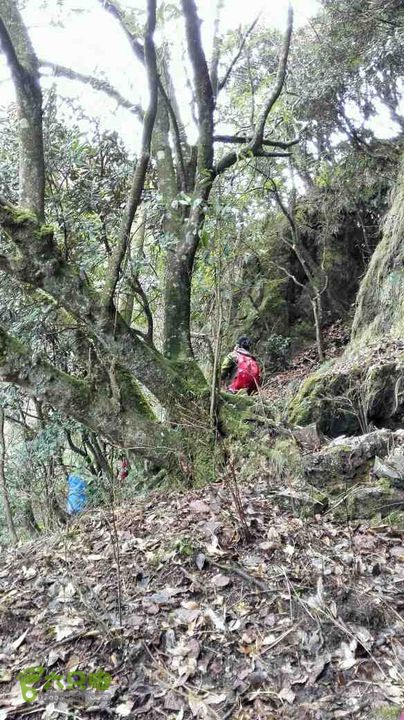 衢州豹C巨龙顶水门尖穿越未命名