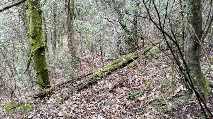 衢州豹C巨龙顶水门尖穿越未命名