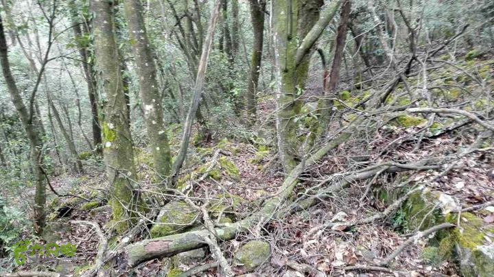 衢州豹C巨龙顶水门尖穿越未命名