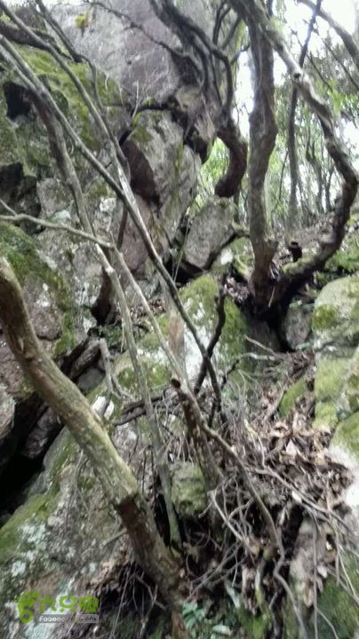 衢州豹C巨龙顶水门尖穿越未命名