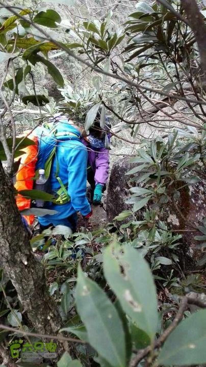 衢州豹C巨龙顶水门尖穿越龙门厥