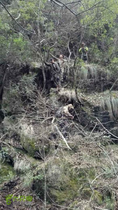 衢州豹C巨龙顶水门尖穿越未命名