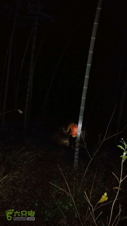 衢州豹C巨龙顶水门尖穿越第一个竹林