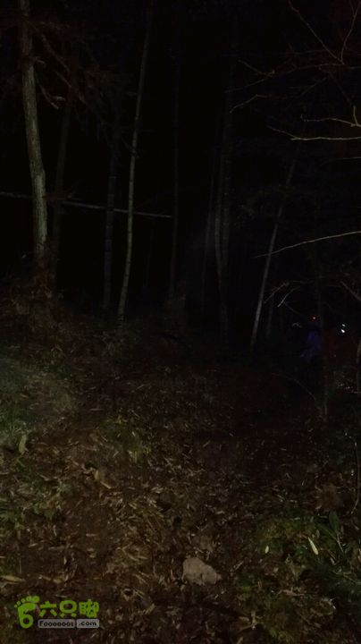 衢州豹C巨龙顶水门尖穿越第二个竹林