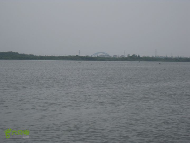 2015-8-20-2下渚湖湿地水上行IMG_0139