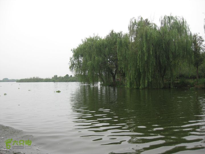 2015-8-20-2下渚湖湿地水上行IMG_0141