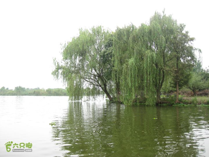 2015-8-20-2下渚湖湿地水上行IMG_0142