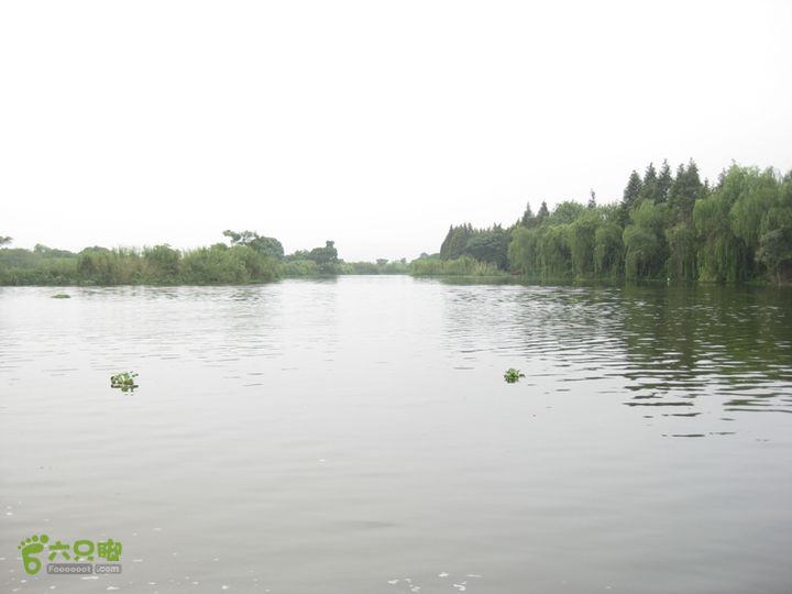 2015-8-20-2下渚湖湿地水上行IMG_0143