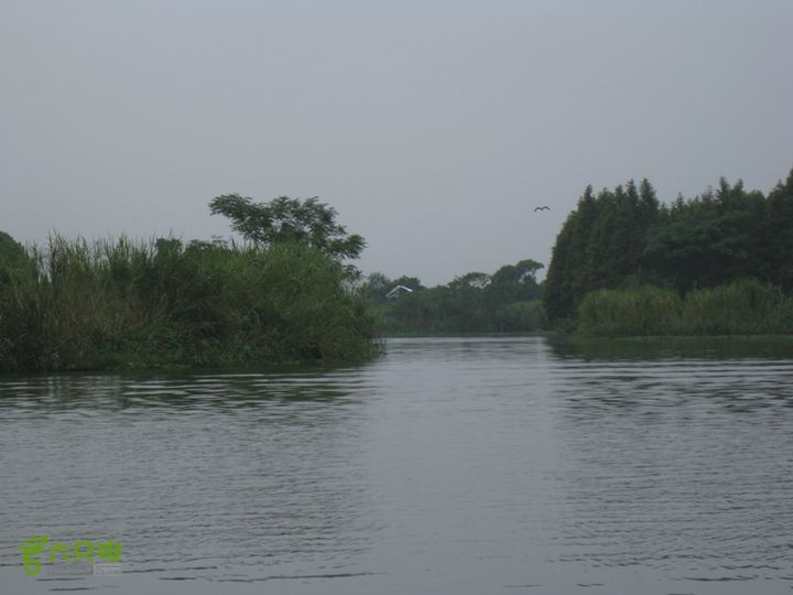 2015-8-20-2下渚湖湿地水上行IMG_0144