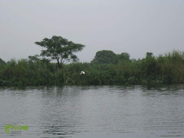2015-8-20-2下渚湖湿地水上行IMG_0145