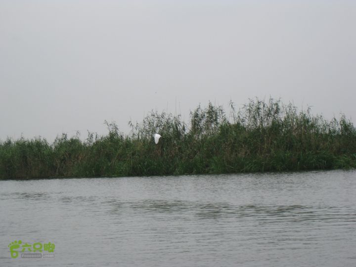 2015-8-20-2下渚湖湿地水上行IMG_0146