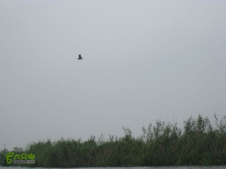 2015-8-20-2下渚湖湿地水上行IMG_0147