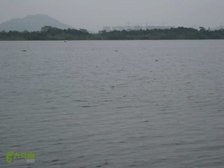 2015-8-20-2下渚湖湿地水上行IMG_0148
