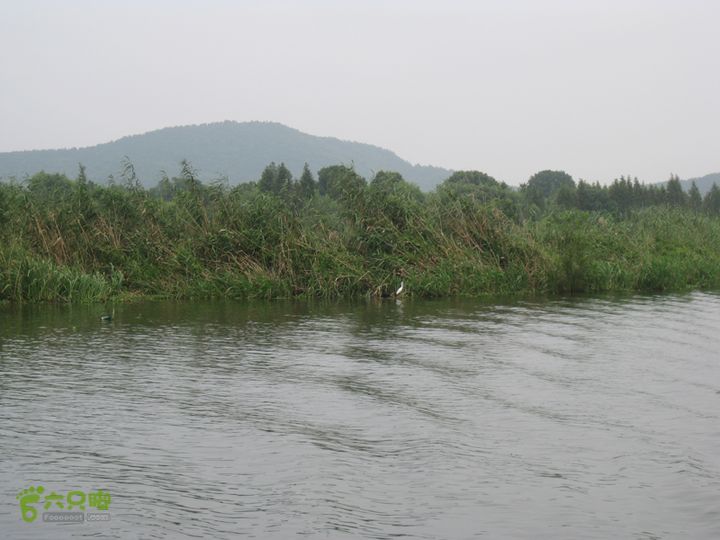 2015-8-20-2下渚湖湿地水上行IMG_0150