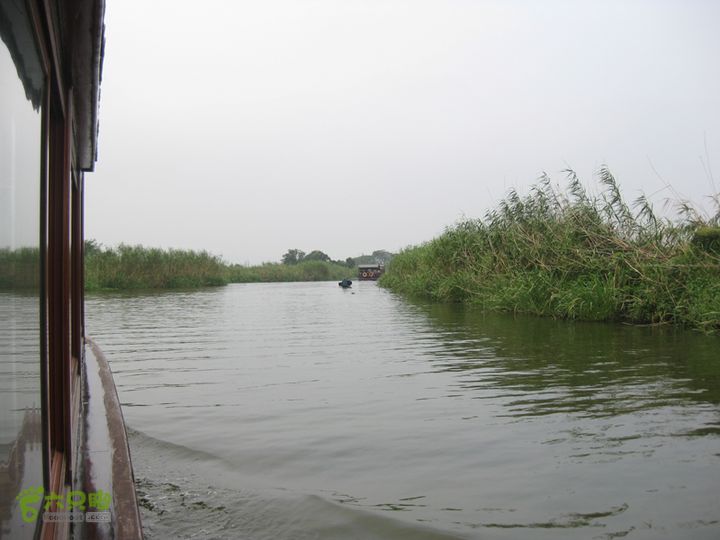 2015-8-20-2下渚湖湿地水上行IMG_0152