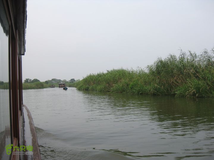 2015-8-20-2下渚湖湿地水上行IMG_0153