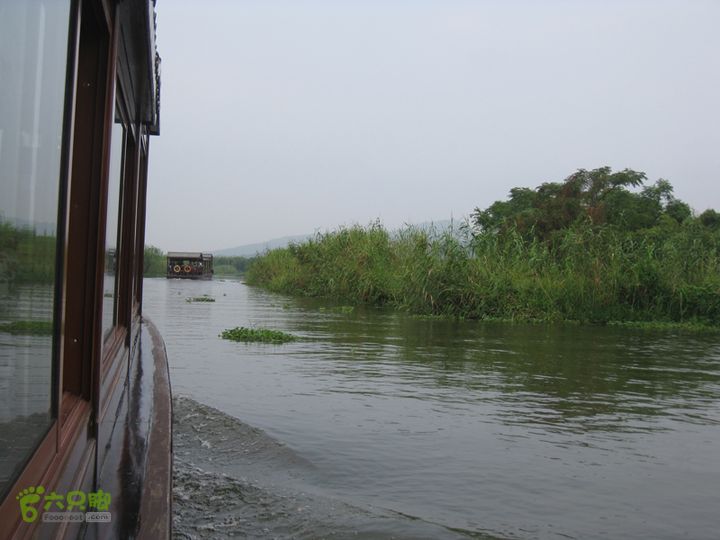 2015-8-20-2下渚湖湿地水上行IMG_0159